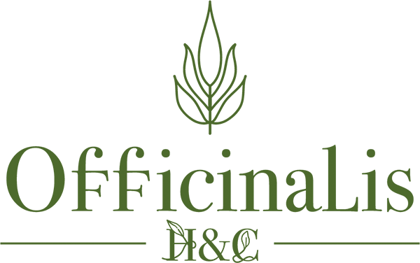 logo main